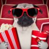 10 Must-Watch College Movies for Future Planners