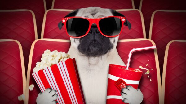 10 Must-Watch College Movies for Future Planners