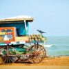 India Unplugged: Exploring on a Budget - Coastal Escapes