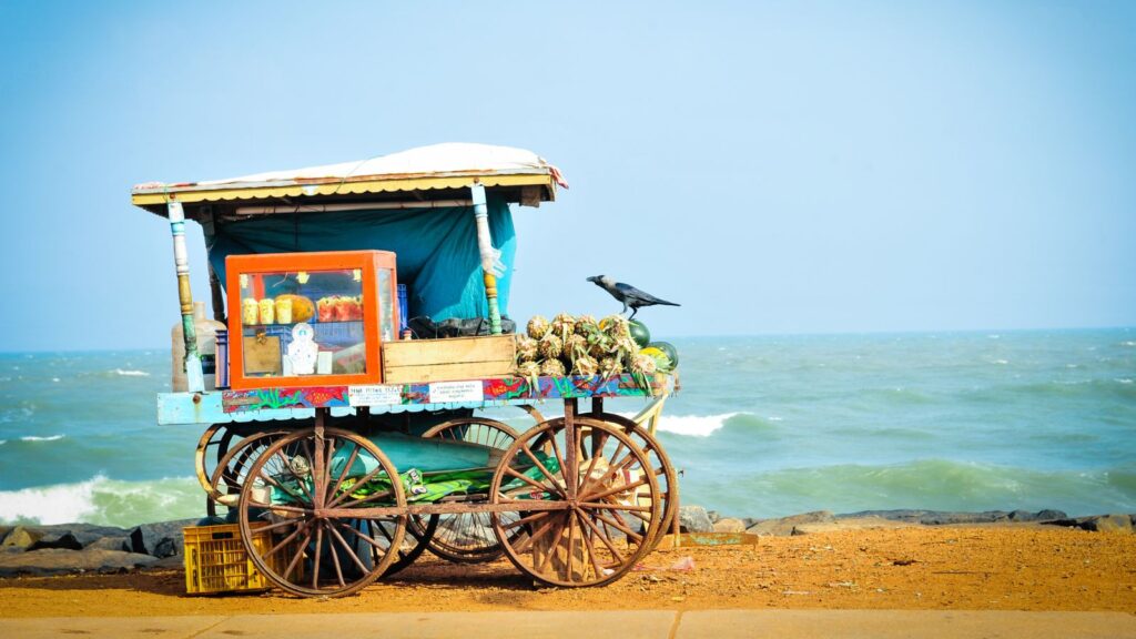 India Unplugged: Exploring on a Budget - Coastal Escapes